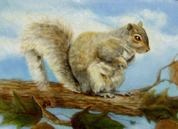 Falltime Squirrel